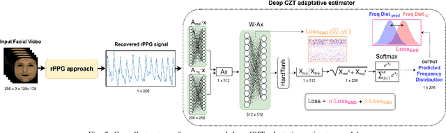 Figure 2 for Deep adaptative spectral zoom for improved remote heart rate estimation
