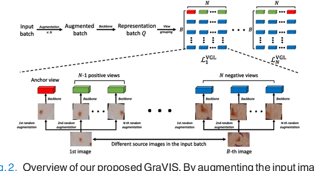 Figure 2 for GraVIS: Grouping Augmented Views from Independent Sources for Dermatology Analysis