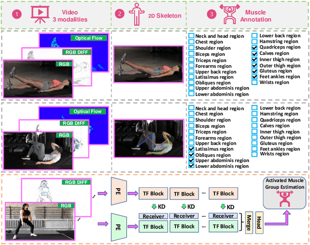 Figure 1 for MuscleMap: Towards Video-based Activated Muscle Group Estimation
