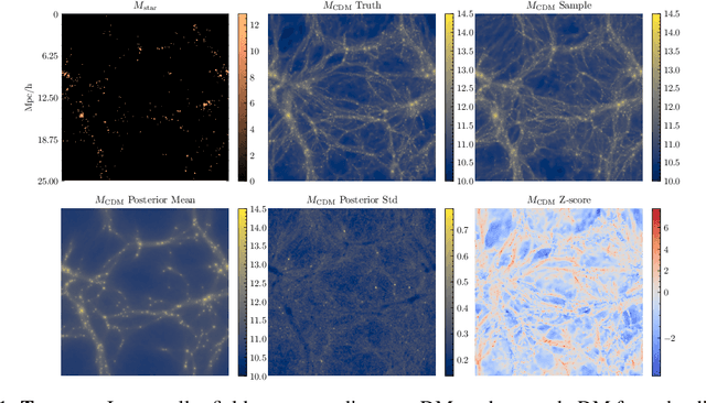 Figure 1 for Probabilistic reconstruction of Dark Matter fields from biased tracers using diffusion models