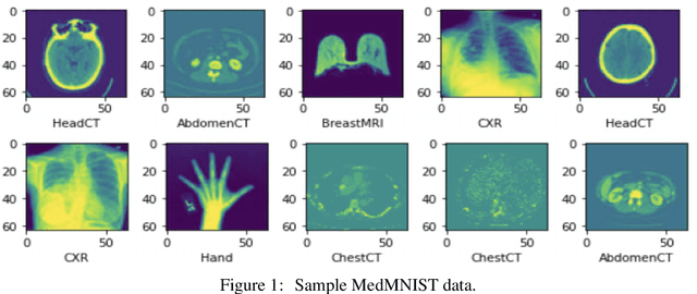 Figure 1 for Compact & Capable: Harnessing Graph Neural Networks and Edge Convolution for Medical Image Classification