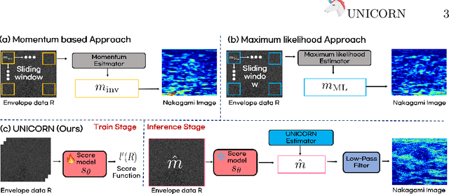 Figure 1 for UNICORN: Ultrasound Nakagami Imaging via Score Matching and Adaptation