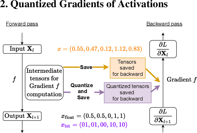 Figure 3 for Few-Bit Backward: Quantized Gradients of Activation Functions for Memory Footprint Reduction