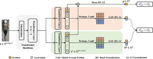 Figure 1 for Transformer Based Multi-Grained Features for Unsupervised Person Re-Identification