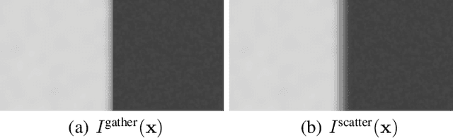 Figure 3 for Scattering and Gathering for Spatially Varying Blurs