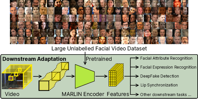 Figure 1 for MARLIN: Masked Autoencoder for facial video Representation LearnINg
