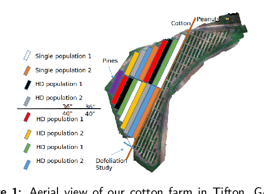 Figure 1 for High-throughput Cotton Phenotyping Big Data Pipeline Lambda Architecture Computer Vision Deep Neural Networks