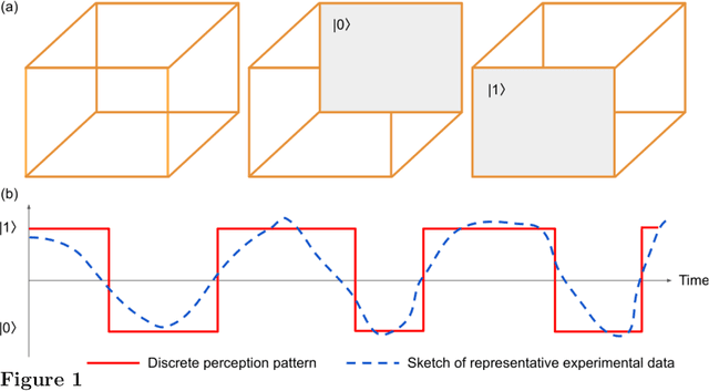 Figure 1 for Linking Physics and Psychology of Bistable Perception Using an Eye Blink Inspired Quantum Harmonic Oscillator Model