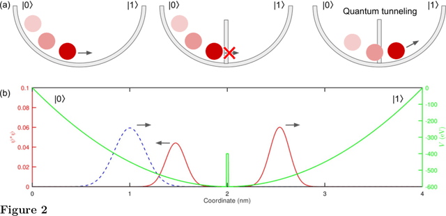 Figure 2 for Linking Physics and Psychology of Bistable Perception Using an Eye Blink Inspired Quantum Harmonic Oscillator Model