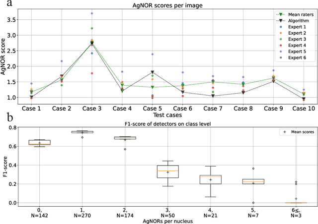 Figure 2 for Deep Learning-Based Automatic Assessment of AgNOR-scores in Histopathology Images