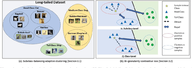 Figure 1 for Subclass-balancing Contrastive Learning for Long-tailed Recognition