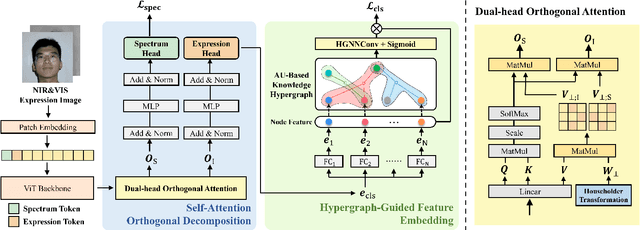 Figure 3 for Hypergraph-Guided Disentangled Spectrum Transformer Networks for Near-Infrared Facial Expression Recognition