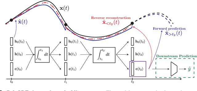 Figure 3 for Anamnesic Neural Differential Equations with Orthogonal Polynomial Projections