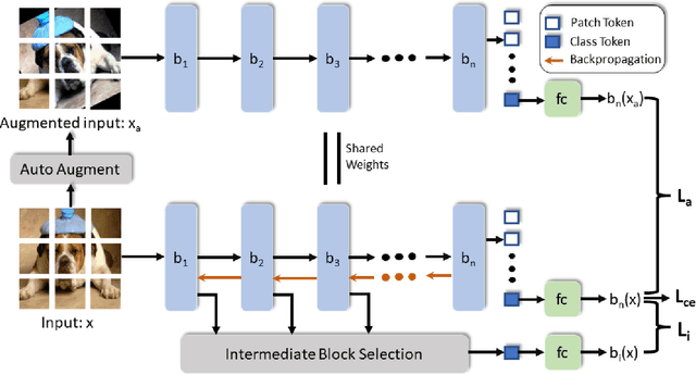 Figure 1 for Robust Representation Learning with Self-Distillation for Domain Generalization