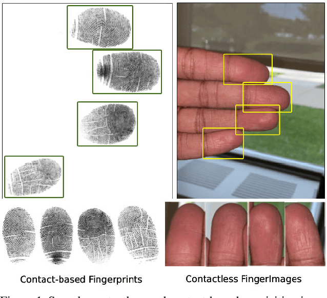 Figure 1 for RidgeBase: A Cross-Sensor Multi-Finger Contactless Fingerprint Dataset
