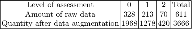 Figure 3 for Semi-Supervised Semantic Segmentation Methods for UW-OCTA Diabetic Retinopathy Grade Assessment