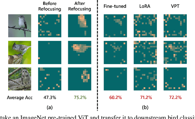 Figure 1 for Refocusing Is Key to Transfer Learning