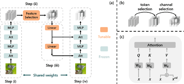 Figure 3 for Refocusing Is Key to Transfer Learning