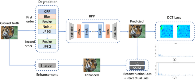 Figure 2 for Rate-Perception Optimized Preprocessing for Video Coding