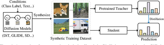 Figure 1 for Is Synthetic Data From Diffusion Models Ready for Knowledge Distillation?