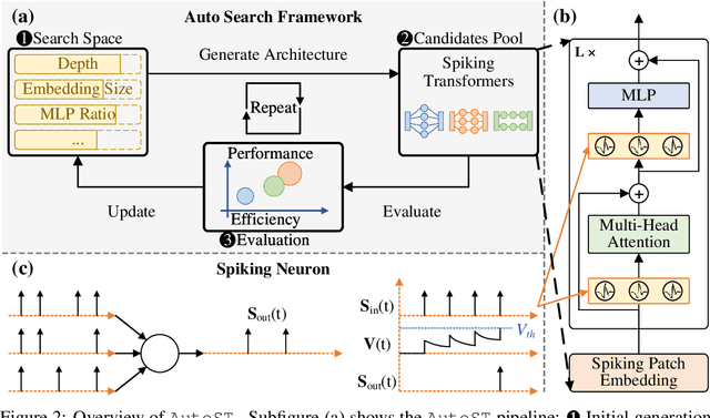 Figure 3 for AutoST: Training-free Neural Architecture Search for Spiking Transformers