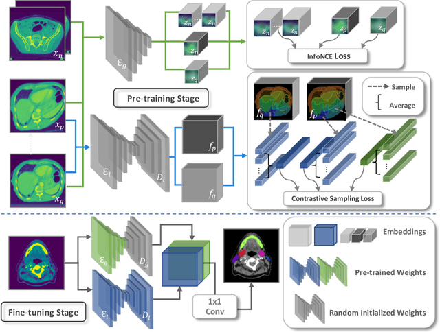 Figure 1 for Localized Region Contrast for Enhancing Self-Supervised Learning in Medical Image Segmentation