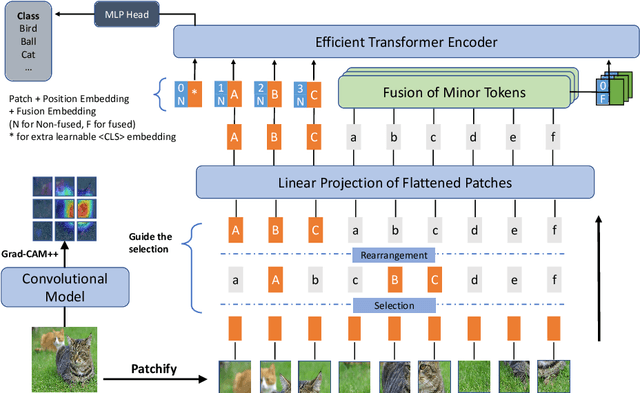 Figure 1 for CageViT: Convolutional Activation Guided Efficient Vision Transformer