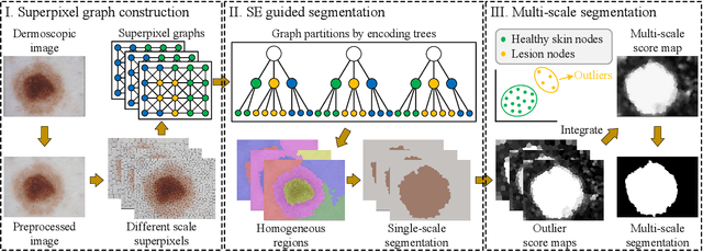 Figure 2 for Unsupervised Skin Lesion Segmentation via Structural Entropy Minimization on Multi-Scale Superpixel Graphs