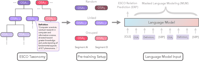 Figure 1 for ESCOXLM-R: Multilingual Taxonomy-driven Pre-training for the Job Market Domain