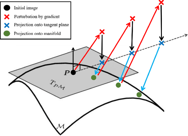 Figure 4 for On-Manifold Projected Gradient Descent