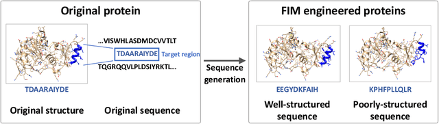 Figure 1 for ProtFIM: Fill-in-Middle Protein Sequence Design via Protein Language Models