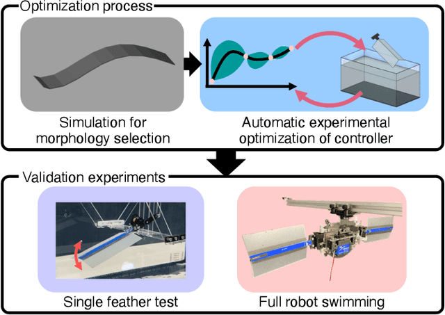 Figure 2 for Control and Morphology Optimization of Passive Asymmetric Structures for Robotic Swimming