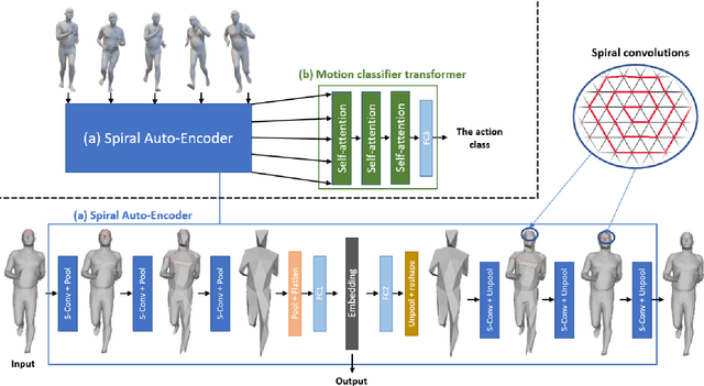 Figure 1 for SpATr: MoCap 3D Human Action Recognition based on Spiral Auto-encoder and Transformer Network