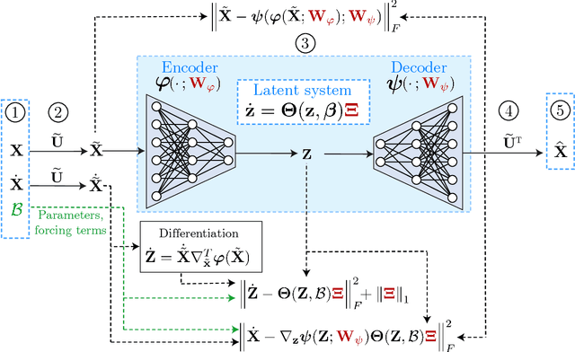 Figure 1 for Reduced order modeling of parametrized systems through autoencoders and SINDy approach: continuation of periodic solutions