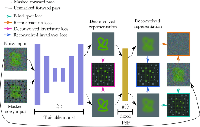 Figure 1 for Self-Supervised Single-Image Deconvolution with Siamese Neural Networks