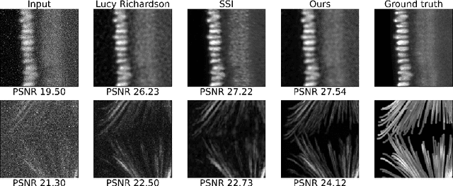 Figure 3 for Self-Supervised Single-Image Deconvolution with Siamese Neural Networks