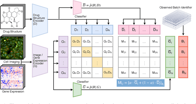 Figure 1 for Removing Biases from Molecular Representations via Information Maximization