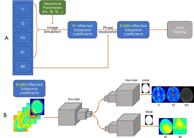 Figure 1 for Sequence adaptive field-imperfection estimation (SAFE): retrospective estimation and correction of $B_1^+$ and $B_0$ inhomogeneities for enhanced MRF quantification