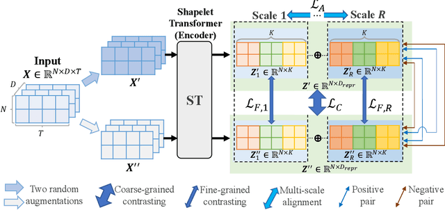 Figure 1 for Contrastive Shapelet Learning for Unsupervised Multivariate Time Series Representation Learning