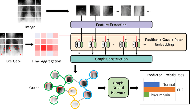 Figure 3 for GazeGNN: A Gaze-Guided Graph Neural Network for Disease Classification