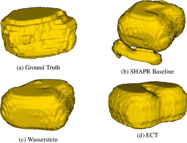 Figure 4 for Euler Characteristic Transform Based Topological Loss for Reconstructing 3D Images from Single 2D Slices