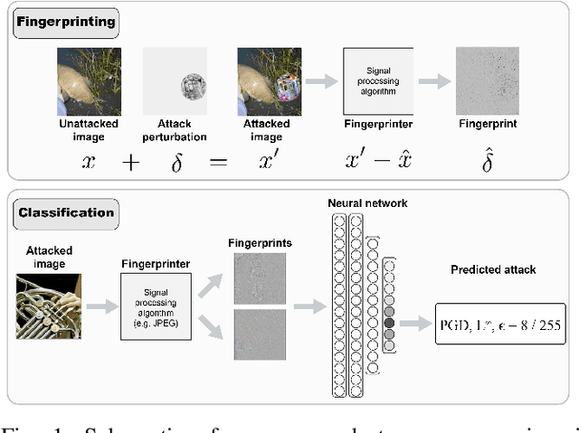 Figure 1 for Reverse engineering adversarial attacks with fingerprints from adversarial examples