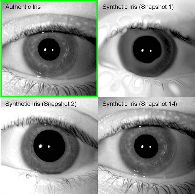 Figure 3 for Haven't I Seen You Before? Assessing Identity Leakage in Synthetic Irises