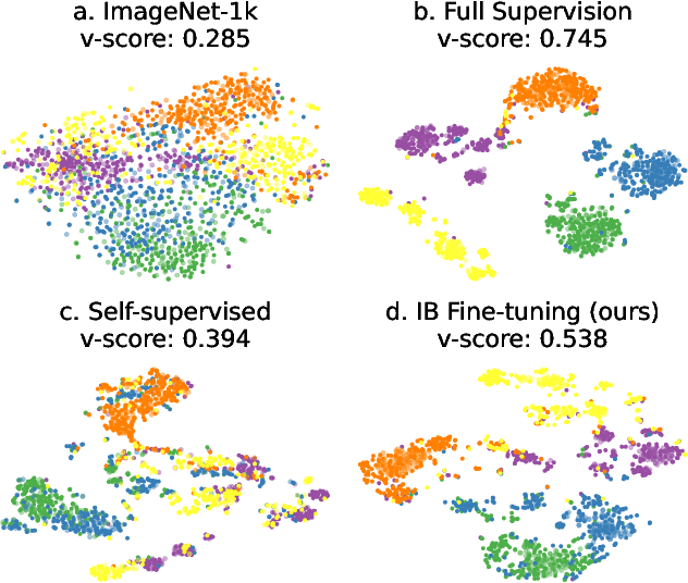 Figure 1 for Task-specific Fine-tuning via Variational Information Bottleneck for Weakly-supervised Pathology Whole Slide Image Classification