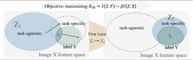 Figure 3 for Task-specific Fine-tuning via Variational Information Bottleneck for Weakly-supervised Pathology Whole Slide Image Classification