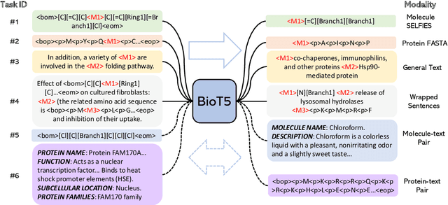 Figure 3 for BioT5: Enriching Cross-modal Integration in Biology with Chemical Knowledge and Natural Language Associations