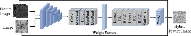 Figure 2 for Unsupervised Domain Adaptation for Neuron Membrane Segmentation based on Structural Features