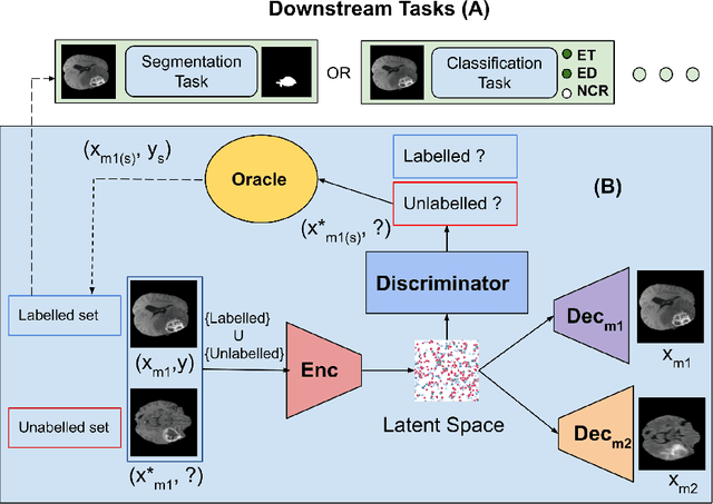 Figure 1 for M-VAAL: Multimodal Variational Adversarial Active Learning for Downstream Medical Image Analysis Tasks