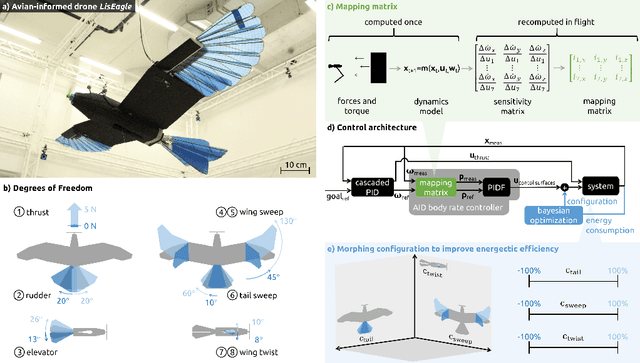 Figure 1 for Adaptive morphing of wing and tail for stable, resilient, and energy-efficient flight of avian-informed drones