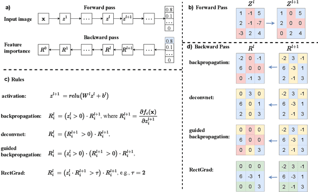 Figure 4 for Gradient based Feature Attribution in Explainable AI: A Technical Review